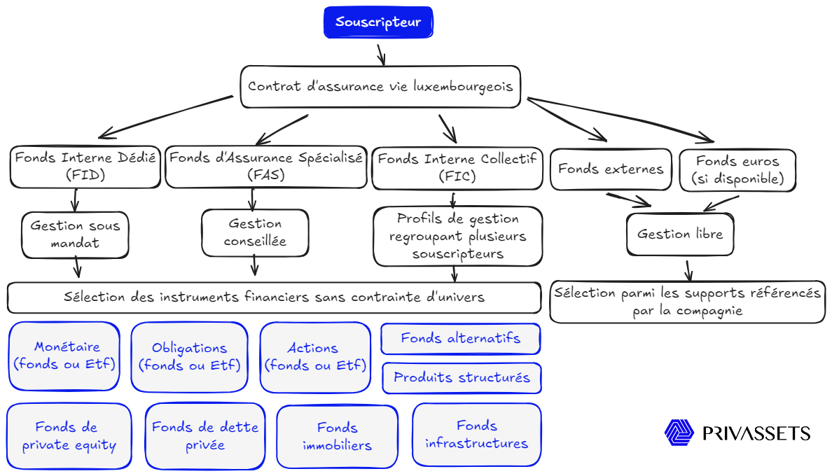 Les différents types de fonds accessibles dans un contrat d'assurance vie luxembourgeois.